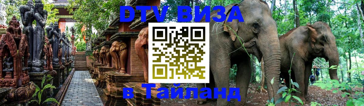 Оформление DTV визы под ключ: стоимость и тарифы, только загранпаспорт - 